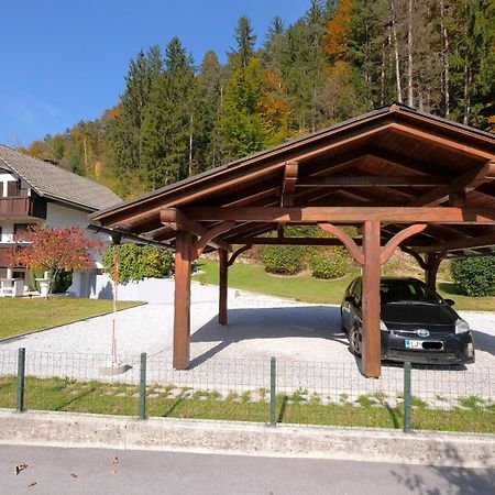 Appartamento Savadolinka House Mojstrana Esterno foto