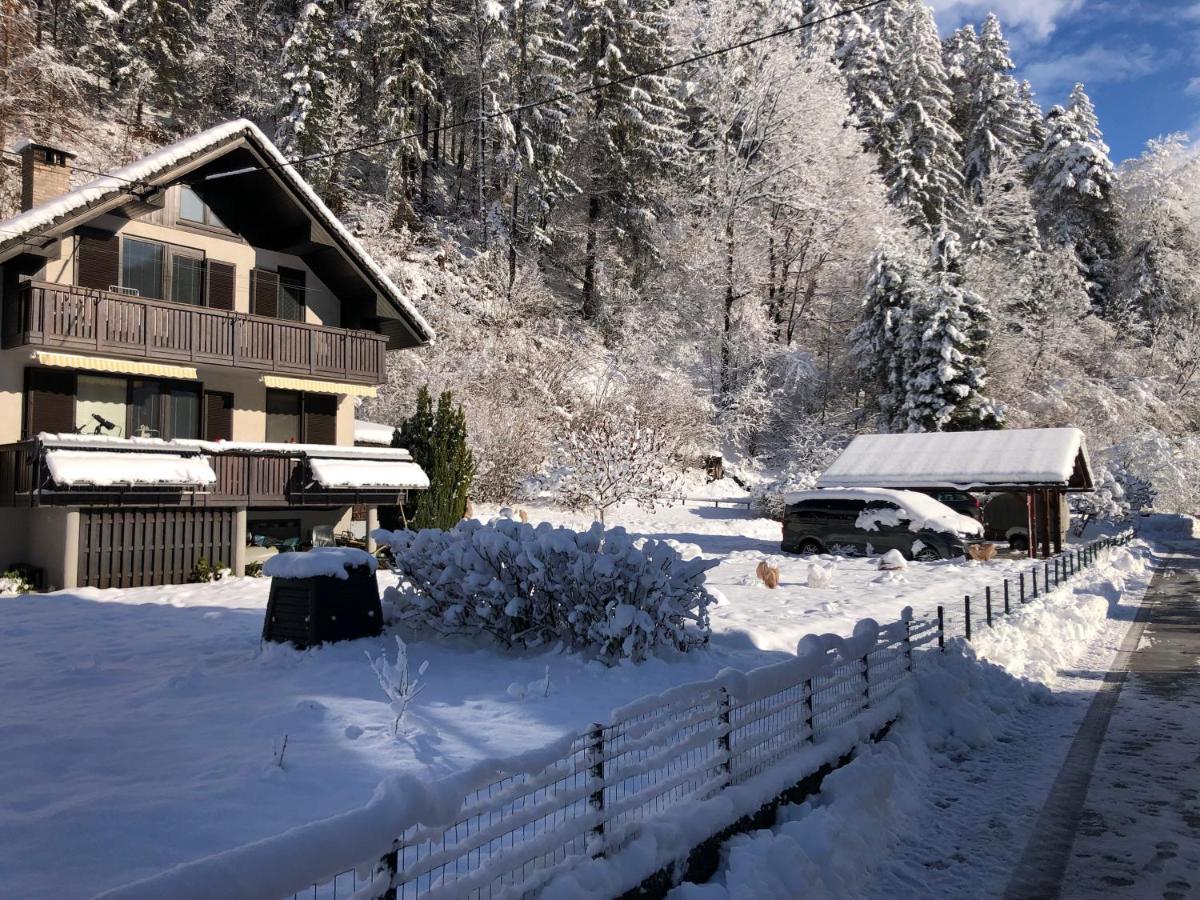 Appartamento Savadolinka House Mojstrana Esterno foto