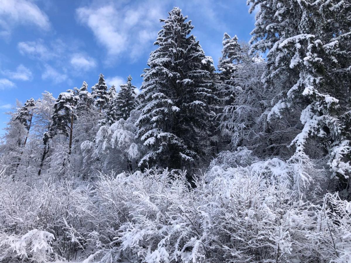 Appartamento Savadolinka House Mojstrana Esterno foto