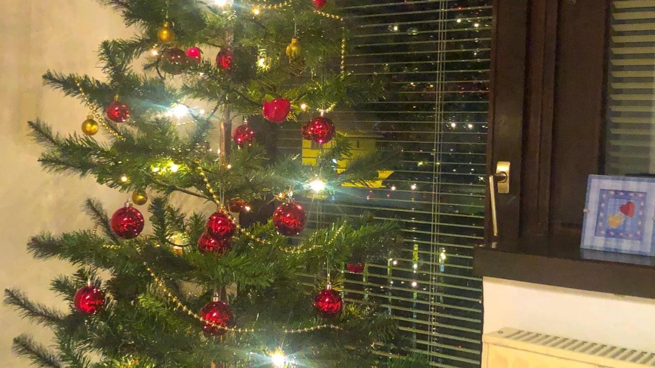 Appartamento Savadolinka House Mojstrana Esterno foto