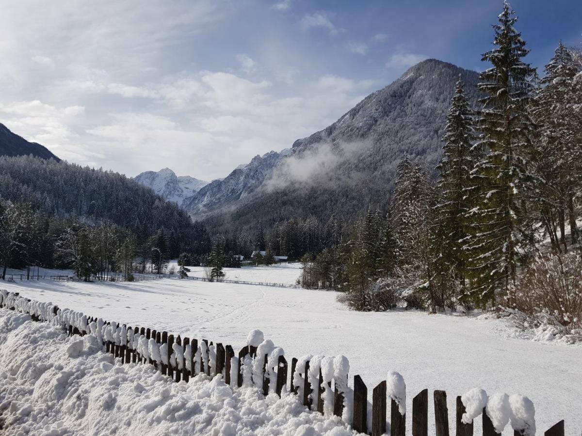 Appartamento Savadolinka House Mojstrana Esterno foto