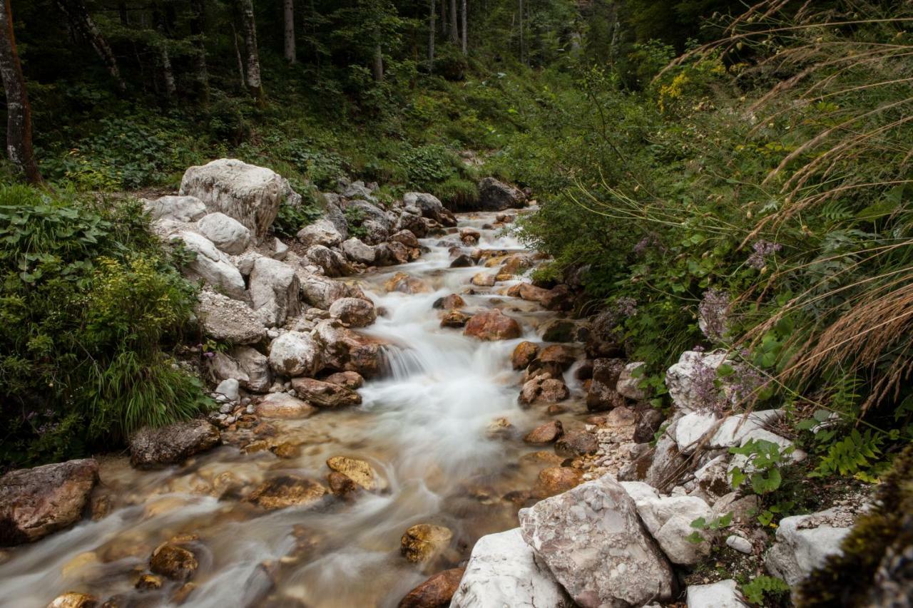 Appartamento Savadolinka House Mojstrana Esterno foto