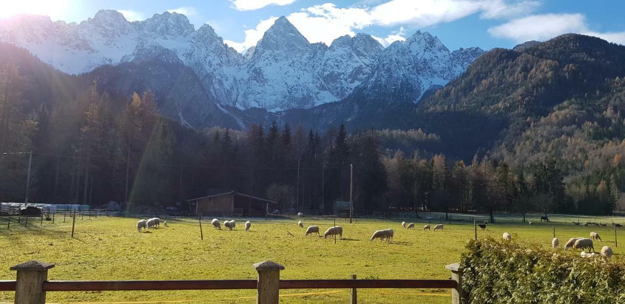 Appartamento Savadolinka House Mojstrana Esterno foto